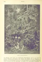 An illustration from Die Erde. Eine allgemeine Erd- und Länderkunde, etc (1896)