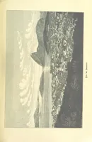 Picture 330 of 350 from Die Erde. Eine allgemeine Erd- und Länderkunde, etc (1896), leaf 891