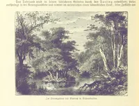 An illustration from Die Erde. Eine allgemeine Erd- und Länderkunde, etc (1896)