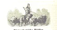 Picture 25 of 233 from Illustrirte Weltgeschichte: ein Buch für's Volk ... Mit Tabellen und Karten (1844), leaf 88