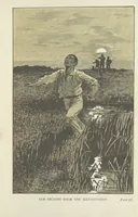Picture 6 of 11 from By Sheer Pluck: a tale of the Ashanti War, etc (1884), leaf 211