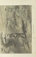 An illustration from By Sheer Pluck: a tale of the Ashanti War, etc (1884)