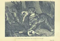 An illustration from In Times of Peril. A tale of India ... With ... illustrations (1883)