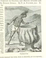 Picture 20 of 22 from With Clive in India: or the Beginnings of an Empire, etc (1884), leaf 417