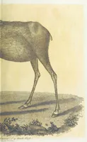 An illustration from Travels through the Canadas, ... to which is subjoined a comparative view of the manners and customs of several of the Indian nations of North and South America, etc (1807)
