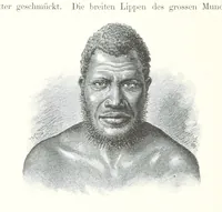 An illustration from Südsee-Erinnerungen (1875-1880). Mit einem einleitenden Vorwort von Dr. O. Finsch (1883)