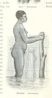 Picture 14 of 28 from Südsee-Erinnerungen (1875-1880). Mit einem einleitenden Vorwort von Dr. O. Finsch (1883), leaf 114