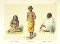 An illustration from Südsee-Erinnerungen (1875-1880). Mit einem einleitenden Vorwort von Dr. O. Finsch (1883)