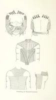 Picture 8 of 28 from Südsee-Erinnerungen (1875-1880). Mit einem einleitenden Vorwort von Dr. O. Finsch (1883), leaf 88