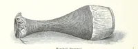 Picture 9 of 28 from Südsee-Erinnerungen (1875-1880). Mit einem einleitenden Vorwort von Dr. O. Finsch (1883), leaf 96
