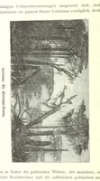 An illustration from Mississippi-Fahrten. Reisebilder aus dem amerikanischen Süden, 1879-1880 (1881)