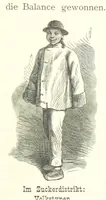 An illustration from Mississippi-Fahrten. Reisebilder aus dem amerikanischen Süden, 1879-1880 (1881)