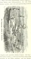 An illustration from Mississippi-Fahrten. Reisebilder aus dem amerikanischen Süden, 1879-1880 (1881)