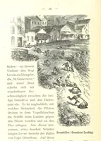 An illustration from Mississippi-Fahrten. Reisebilder aus dem amerikanischen Süden, 1879-1880 (1881)
