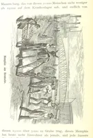 An illustration from Mississippi-Fahrten. Reisebilder aus dem amerikanischen Süden, 1879-1880 (1881)