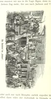 An illustration from Mississippi-Fahrten. Reisebilder aus dem amerikanischen Süden, 1879-1880 (1881)