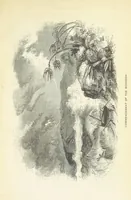 An illustration from The Earth? its physical condition and most remarkable phenomena (1855)