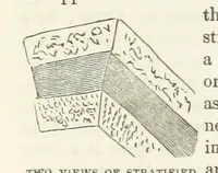 An illustration from The Earth? its physical condition and most remarkable phenomena (1855)