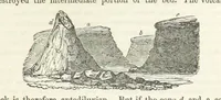An illustration from The Earth? its physical condition and most remarkable phenomena (1855)