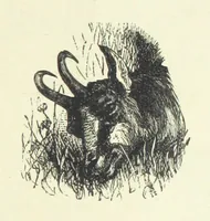 An illustration from Rambles and scrambles in the Tyrol. By E. R. H. [i.e. E. R. Hill.] [With two chapters contributed by Henry Hill (1885)