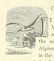 An illustration from Rambles and scrambles in the Tyrol. By E. R. H. [i.e. E. R. Hill.] [With two chapters contributed by Henry Hill (1885)