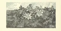 An illustration from Rambles and scrambles in the Tyrol. By E. R. H. [i.e. E. R. Hill.] [With two chapters contributed by Henry Hill (1885)