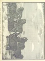 An illustration from History of Knox County, Ohio ... Illustrated (1881)