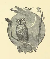An illustration from Among the Forest Trees, or, how the Bushman family got their homes. Being a book of facts and incidents of pioneer life in Upper Canada, arranged in the form of a story (1888)