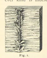 Picture 2 of 132 from Eclectic Physical Geography (1889), leaf 14
