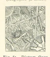 Picture 50 of 132 from Eclectic Physical Geography (1889), leaf 152