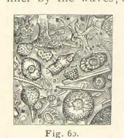 Picture 51 of 132 from Eclectic Physical Geography (1889), leaf 152