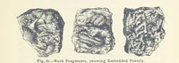 Picture 71 of 132 from Eclectic Physical Geography (1889), leaf 197