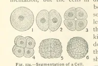 Picture 112 of 132 from Eclectic Physical Geography (1889), leaf 322