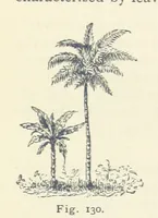 An illustration from Eclectic Physical Geography (1889)