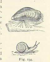 An illustration from Eclectic Physical Geography (1889)