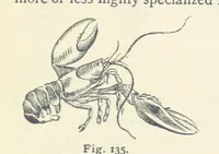 An illustration from Eclectic Physical Geography (1889)