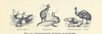 An illustration from Eclectic Physical Geography (1889)