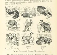 An illustration from Eclectic Physical Geography (1889)