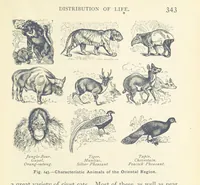 An illustration from Eclectic Physical Geography (1889)