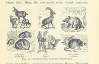 Picture 127 of 132 from Eclectic Physical Geography (1889), leaf 351