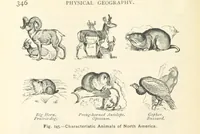 An illustration from Eclectic Physical Geography (1889)