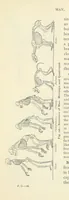 An illustration from Eclectic Physical Geography (1889)