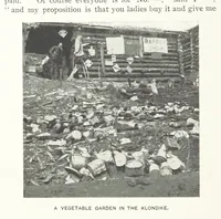Picture 64 of 127 from Two Women in the Klondike. The story of a journey to the gold-fields of Alaska ... With 105 illustrations and map (1899), leaf 224