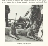 Picture 11 of 127 from Two Women in the Klondike. The story of a journey to the gold-fields of Alaska ... With 105 illustrations and map (1899), leaf 44