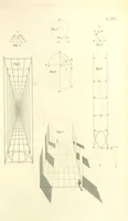 An illustration from Thomæ Hobbes Malmesburiensis opera philosophica quæ Latine scripsit omnia in unum corpus nunc primum collecta studio et labore Gulielmi Molesworth (1839)