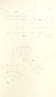 An illustration from Thomæ Hobbes Malmesburiensis opera philosophica quæ Latine scripsit omnia in unum corpus nunc primum collecta studio et labore Gulielmi Molesworth (1839)