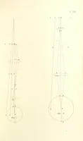 An illustration from Thomæ Hobbes Malmesburiensis opera philosophica quæ Latine scripsit omnia in unum corpus nunc primum collecta studio et labore Gulielmi Molesworth (1839)