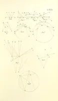 An illustration from Thomæ Hobbes Malmesburiensis opera philosophica quæ Latine scripsit omnia in unum corpus nunc primum collecta studio et labore Gulielmi Molesworth (1839)