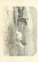 An illustration from Wild Life in the Far West; personal adventures of a Border Mountain Man, etc (1875)