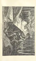 An illustration from Wild Life in the Far West; personal adventures of a Border Mountain Man, etc (1875)